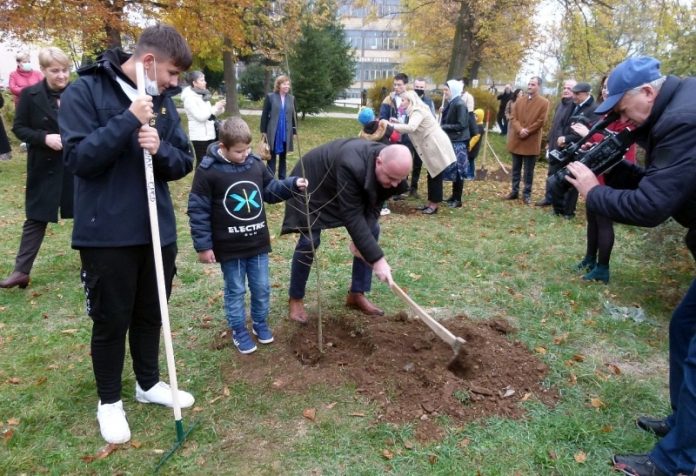 ZDK Pošumljavanje