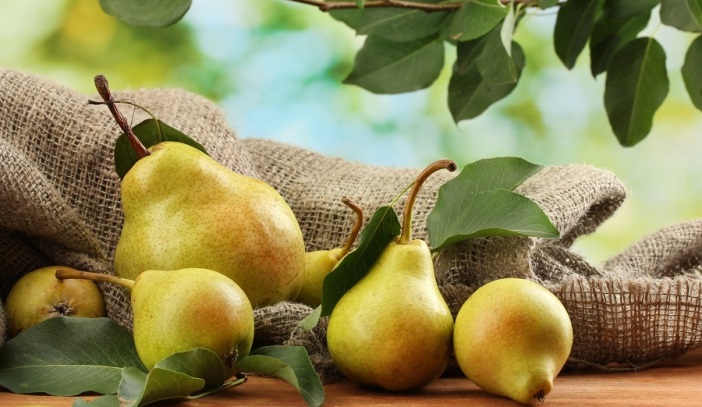 Razlozi zbog kojih bi trebalo jesti kruške Kruške