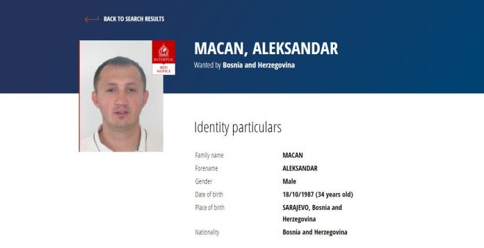 Aleksandar Macan