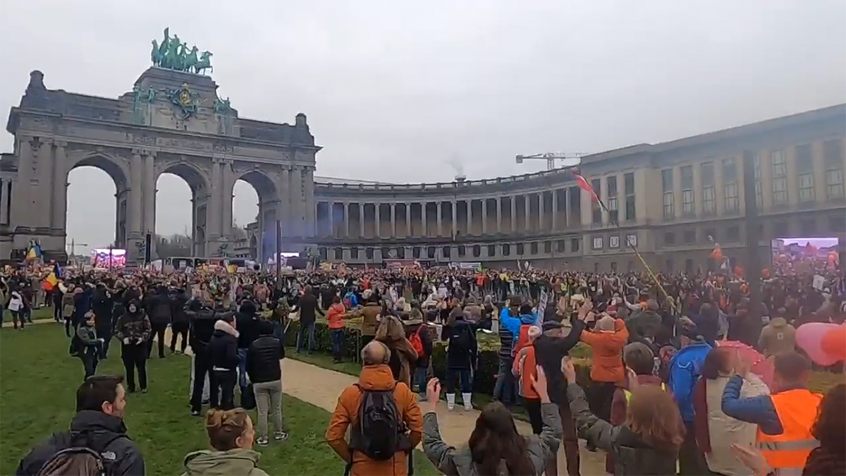 U Briselu održan masovni protiv epidemioloških mjera (VIDEO)