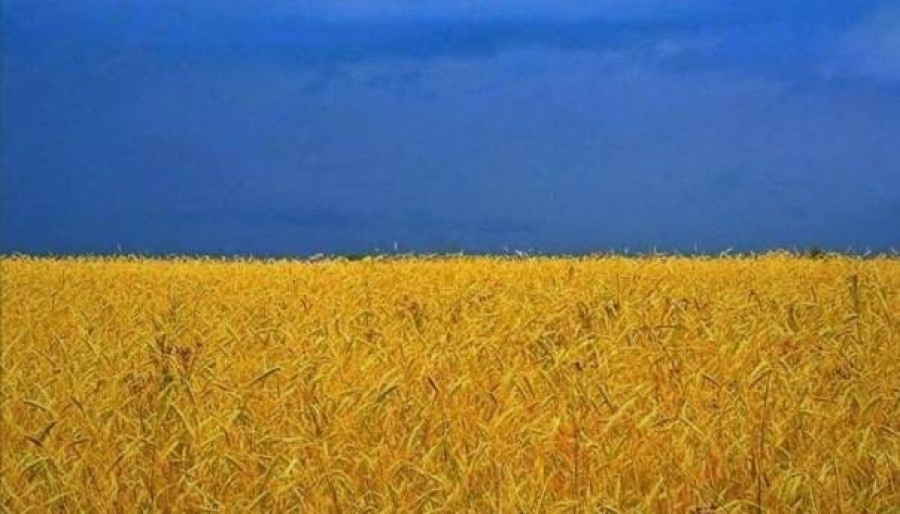 Poremećaj globalnih lanaca snabdijevanja hranom zbog krize u Ukrajini