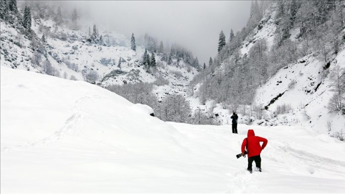 Planina