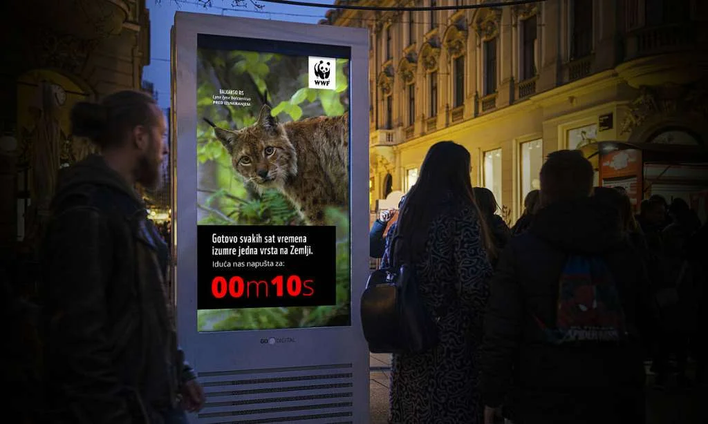 WWF Adria: Svakog sata izgubimo jednu vrstu na planeti Zemlji WWF Adria