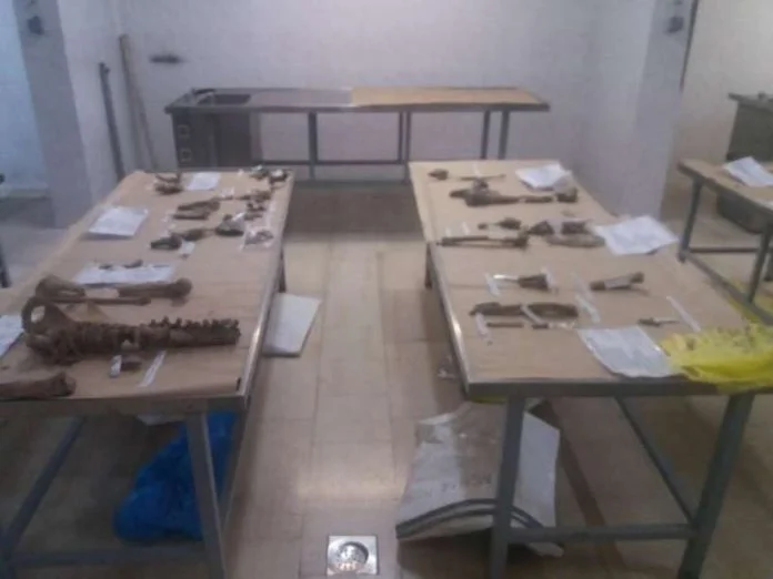 Identifikacija Posmrtni Ostaci