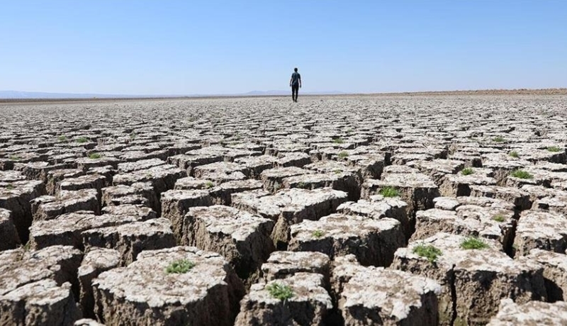 Suša bi do 2050. mogla pogoditi 75 posto svjetske populacije
