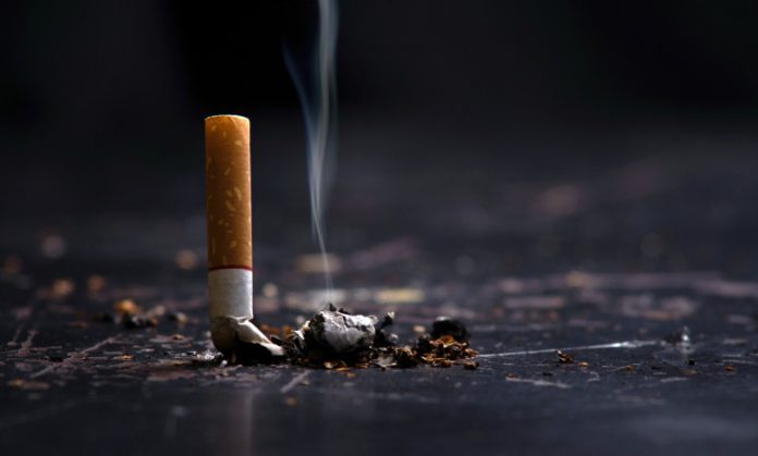 Duhan cigareta cigara pusenje