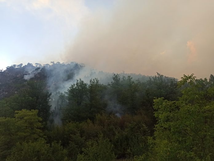 Konjic Pozar 1