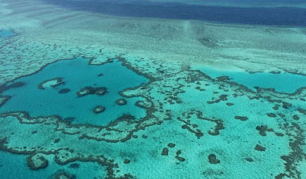 Australija zabranom rudnika uglja želi zaštititi Veliki koraljni greben