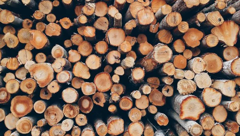 Ogrjevno drvo propada u skladištima, proizvođači poručili ‘Situacija je alarmantna’ Drvo Wood