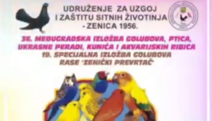 Udruzenje Za Uzgoj I Zastitu Sitnih Zivotinja Zenica