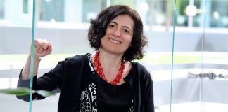 Adisa Azapagić