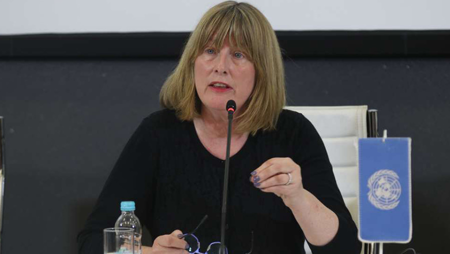 Fionnuala Ní Aoláin