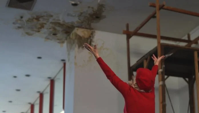 Pozorište Zenica, Krov