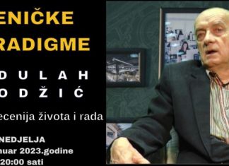 Zenicka Paradigma