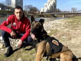 Almir Tabaković