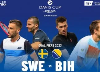 BiH Švedska Davis Cup