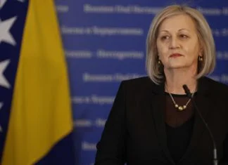 Borjana Krišto