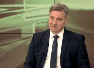 Denis Zvizdić