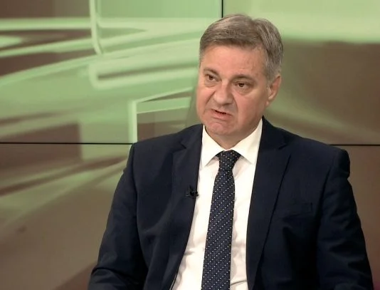 Denis Zvizdić