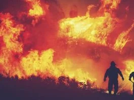 Pozar Ilustracija