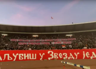Zvezdini Navijači