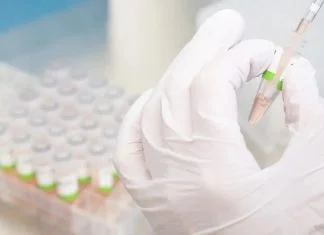 Upozorenje UN agencije na ‘neviđenu’ prijetnju: Virus H5N1 prelazi na sisavce Arcturus Koronavirus