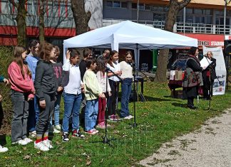 Godišnjica Bilinopoljske Izjave