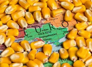 Ukrajina traži ponovno otvaranje tranzita žitarica preko Poljske Izvoz Zitarica Ukrajina