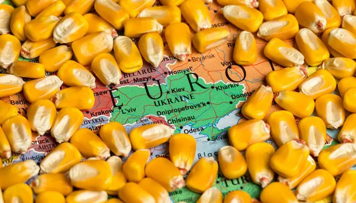 Izvoz Zitarica Ukrajina