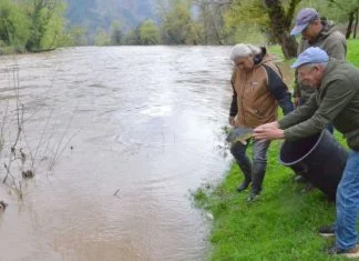 Ministarstvo poljoprivrede, šumarstva i vodoprivrede ZDK podržalo projekat poribljavanja rijeke Bosne i Stavnje Poribljavanje rijeka Bosne i Stavnje