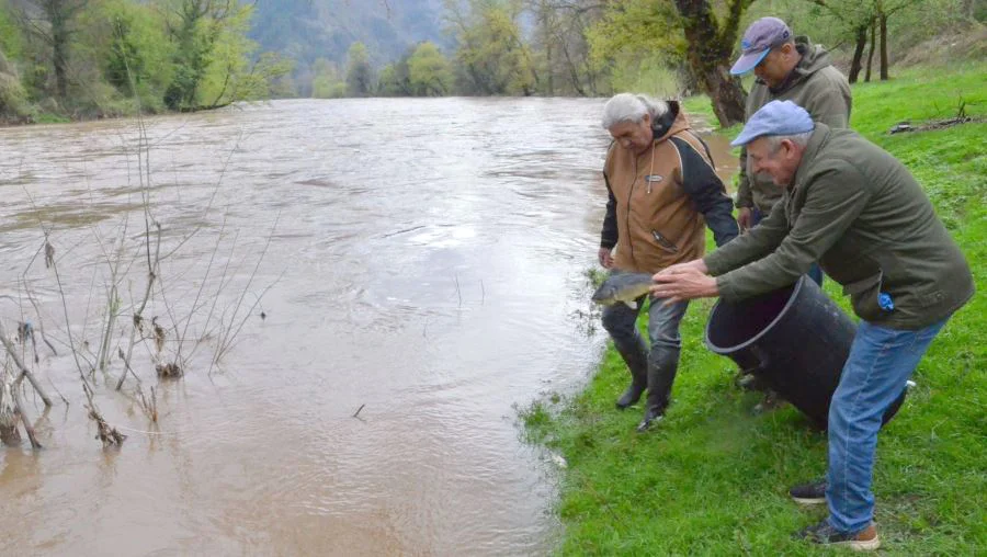 Poribljavanje rijeka Bosne i Stavnje