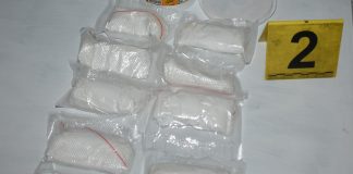 Speed Droga