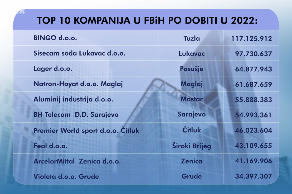 TOP 10 Kompanija Po Dobiti U FBiH 2022