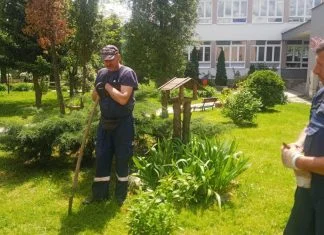 Alba Zenica donirala OŠ “Mak Dizdar” 20 sadnica ukrasnog grmlja (FOTO) Donacija Osnovnoj školi Mak Dizdar Zenica