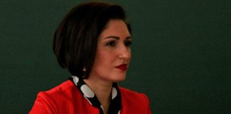 Prof.dr.sc. Maša Alijević