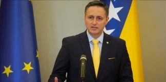 Denis Bećirović