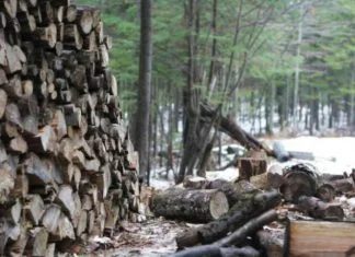 U Zenici u ponedjeljak stručni skup “Korupcija u šumi?”