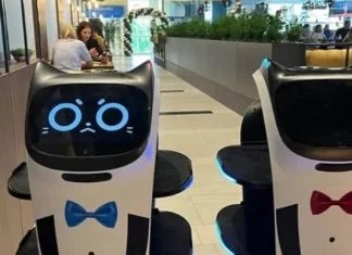 Prvi roboti konobari u BiH poslužuju goste (VIDEO) Robot Konobari