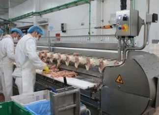 SAD dale odobrenja za prodaju piletine uzgojene u laboratoriji Piletina