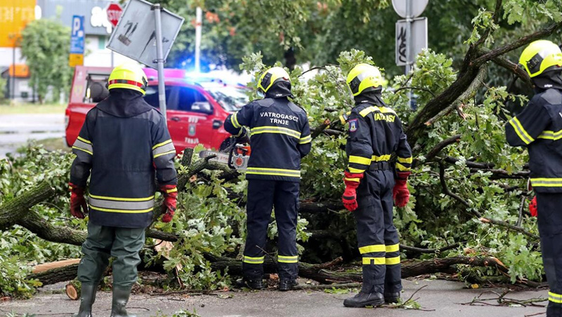 Drveće Po Ulicama I Autima U Zagrebu