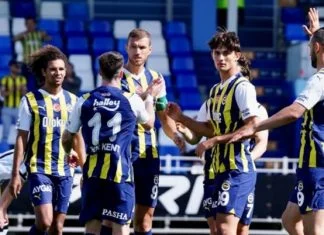 Edin Džeko postigao prvijenac u dresu Fenerbahcea Edin Džeko
