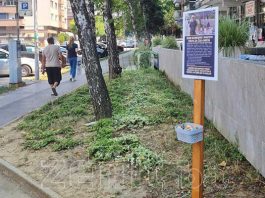 Pomoć Za Mirsu štand Sa Bombonama