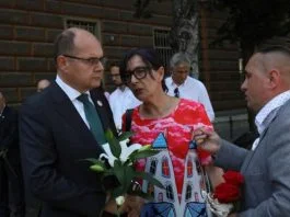 Schmidt I Šabanović
