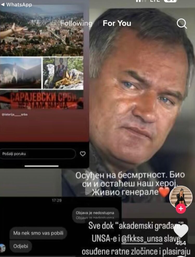 Story Sladjane T. Mladic