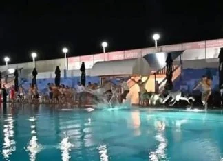 Mladi SNSD-ovci skočili u bazen i poručili: Za Dodika i u vatru i u vodu (VIDEO) Mladi SNSD