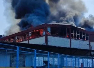Požar U Fabrici Papira Celex
