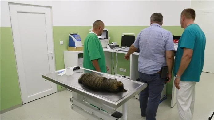 Urgentni Centar Za životinje