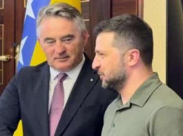 Željko Komšić I Zelenski