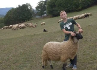 Ahmed iz Viteza: Više volim pogledati dobru ovcu nego da mi daju 100 KM (VIDEO) Ahmed Žubaj