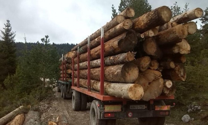 Izvoz Drva